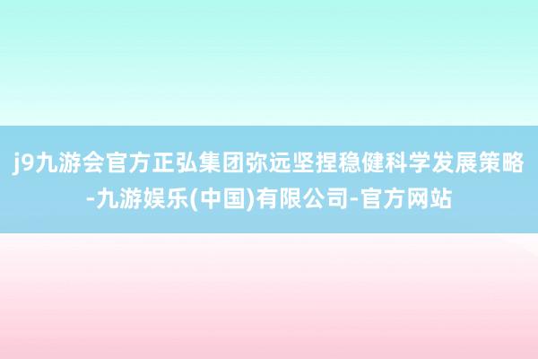 j9九游会官方正弘集团弥远坚捏稳健科学发展策略-九游娱乐(中国)有限公司-官方网站