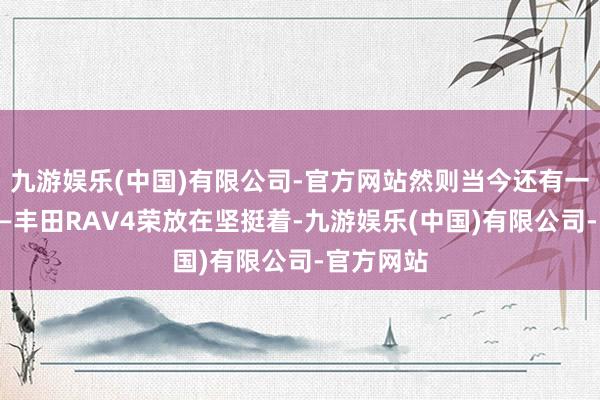 九游娱乐(中国)有限公司-官方网站然则当今还有一款神车——丰田RAV4荣放在坚挺着-九游娱乐(中国)有限公司-官方网站