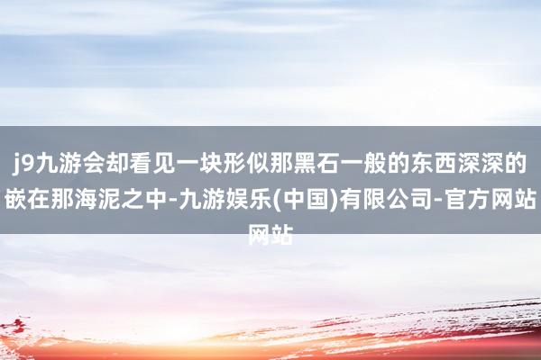 j9九游会却看见一块形似那黑石一般的东西深深的嵌在那海泥之中-九游娱乐(中国)有限公司-官方网站